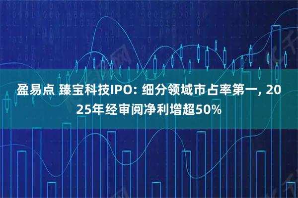 盈易点 臻宝科技IPO: 细分领域市占率第一, 2025年经审阅净利增超50%